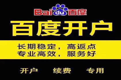 行业领先的SEM竞价广告投放案例